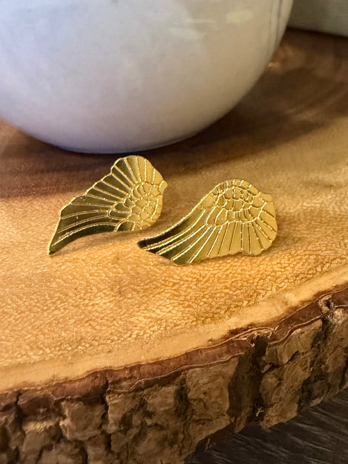 Alas de ángel pequeñas